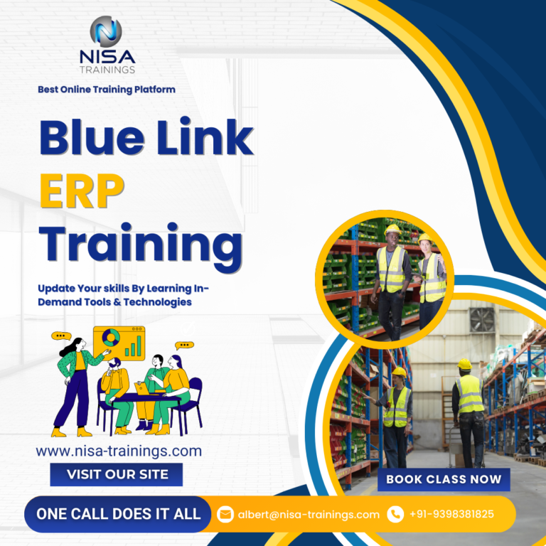 Blue Link ERP training